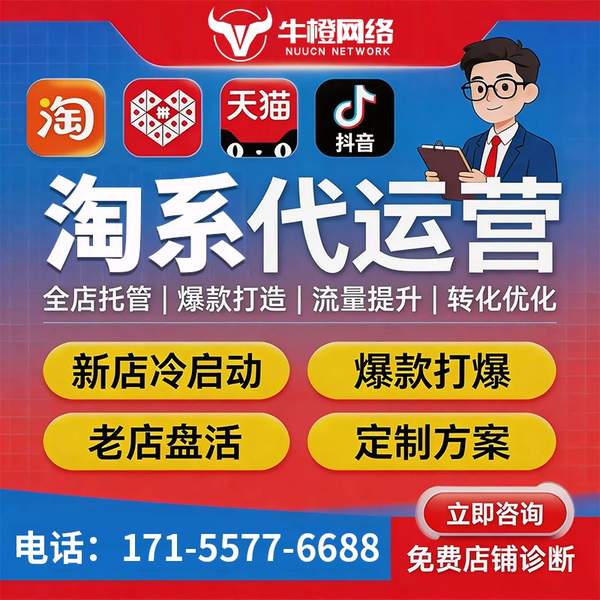 南安电商代运营