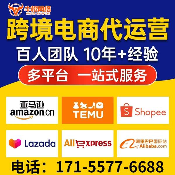 南安电商代运营
