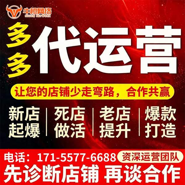南安电商代运营