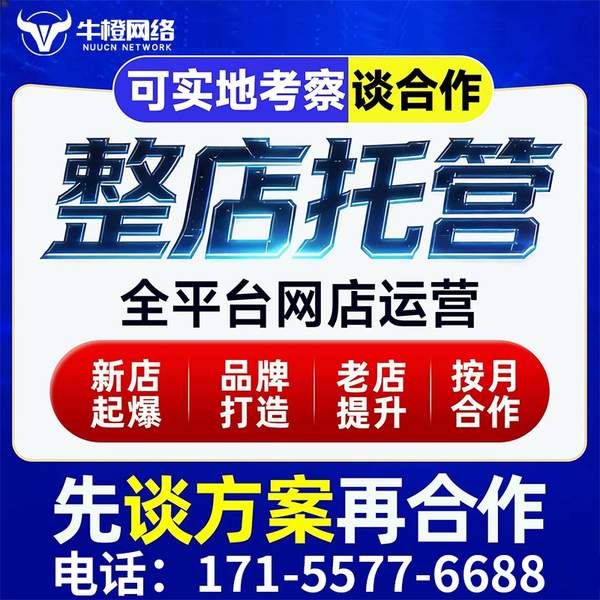 南安电商代运营