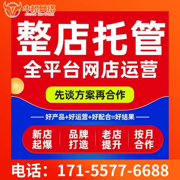 南安电商代运营