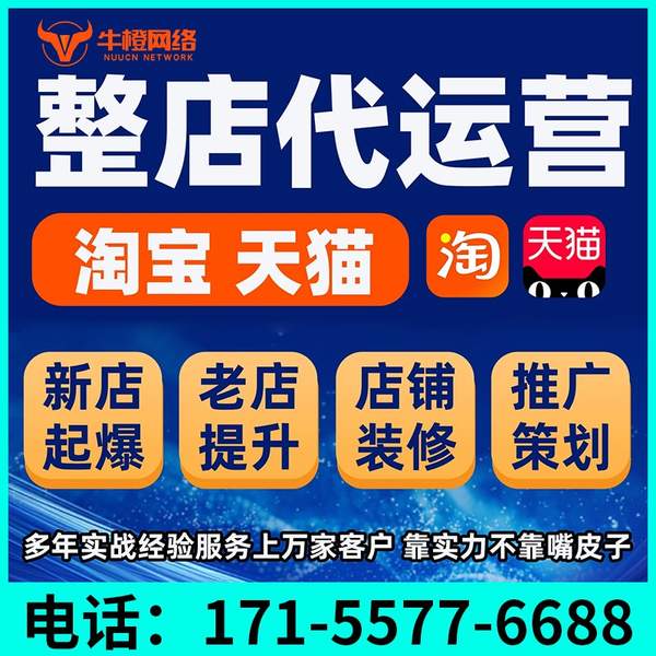 南安电商代运营