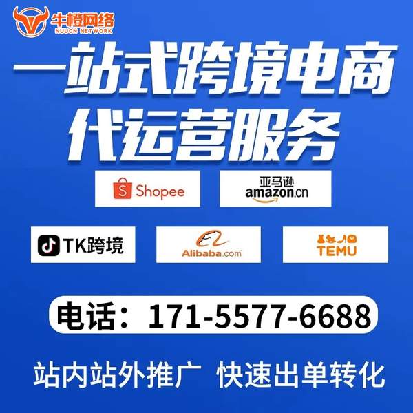 南安电商代运营