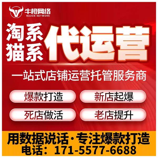 南安电商代运营